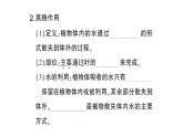 初中生物新北师大版七年级上册第3单元第4章第5节 蒸腾作用作业课件2024秋