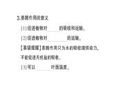 初中生物新北师大版七年级上册第3单元第4章第5节 蒸腾作用作业课件2024秋