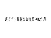 初中生物新北师大版七年级上册第3单元第4章第6节 植物在生物圈中的作用作业课件2024秋