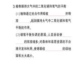 初中生物新北师大版七年级上册第3单元第4章第6节 植物在生物圈中的作用作业课件2024秋