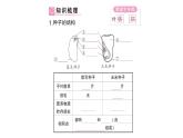 初中生物新北师大版七年级上册第3单元第5章第1节 种子萌发形成幼苗作业课件2024秋