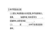 初中生物新北师大版七年级上册第3单元第5章第1节 种子萌发形成幼苗作业课件2024秋