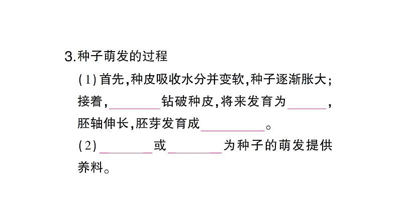 初中生物新北师大版七年级上册第3单元第5章第1节 种子萌发形成幼苗作业课件2024秋第4页