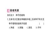 初中生物新北师大版七年级上册第3单元第5章第1节 种子萌发形成幼苗作业课件2024秋