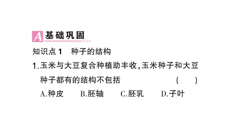 初中生物新北师大版七年级上册第3单元第5章第1节 种子萌发形成幼苗作业课件2024秋第5页