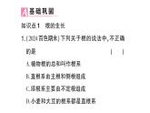 初中生物新北师大版七年级上册第3单元第5章第2节 营养器官的生长作业课件2024秋