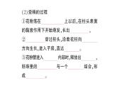 初中生物新北师大版七年级上册第3单元第5章第3节 生殖器官的生长作业课件2024秋