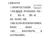 初中生物新北师大版七年级上册第3单元第4章第1节第1课时 光合作用的探索作业课件2024秋