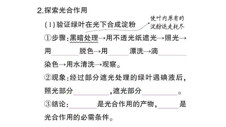 初中生物新北师大版七年级上册第3单元第4章第1节第1课时 光合作用的探索作业课件2024秋03