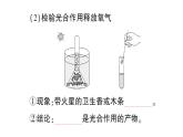 初中生物新北师大版七年级上册第3单元第4章第1节第1课时 光合作用的探索作业课件2024秋