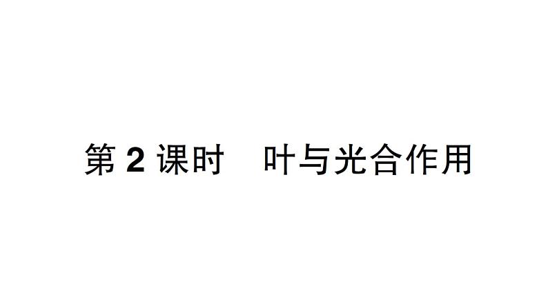 初中生物新北师大版七年级上册第3单元第4章第1节第2课时 叶与光合作用作业课件2024秋01