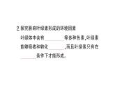 初中生物新北师大版七年级上册第3单元第4章第1节第2课时 叶与光合作用作业课件2024秋