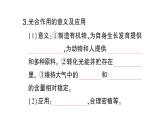 初中生物新北师大版七年级上册第3单元第4章第1节第2课时 叶与光合作用作业课件2024秋
