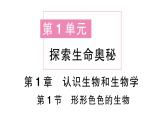 初中生物新北师大版七年级上册第1单元第1章第1节 形形色色的生物作业课件2024秋