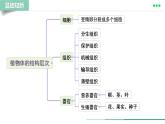 初中  生物  人教版（2024）  七年级上册  第一单元 生物和细胞  第三章第四节 单细胞生物 课件