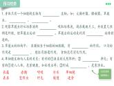 初中  生物  人教版（2024）  七年级上册  第一单元 生物和细胞  第三章第四节 单细胞生物 课件