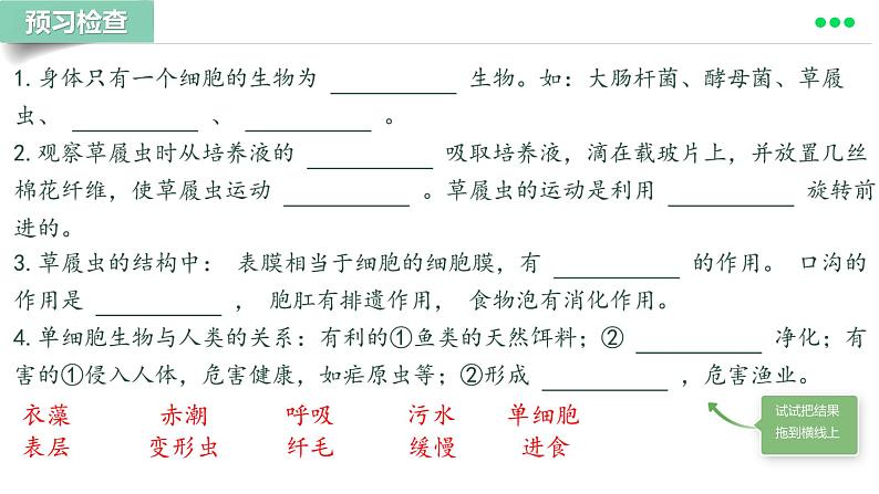 初中  生物  人教版（2024）  七年级上册  第一单元 生物和细胞  第三章第四节 单细胞生物 课件03