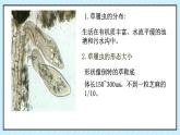 初中  生物  人教版（2024）  七年级上册  第一单元 生物和细胞  第三章第四节 单细胞生物 课件