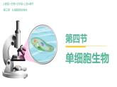 初中  生物  人教版（2024）  七年级上册  第一单元 生物和细胞  第三章第四节 单细胞生物 课件
