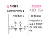 初中生物新北师大版七年级上册第3单元第4章第2节 呼吸作用作业课件2024秋