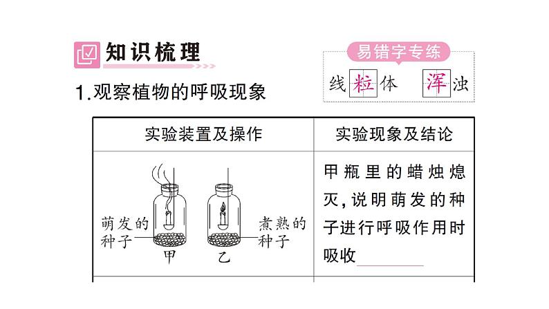 初中生物新北师大版七年级上册第3单元第4章第2节 呼吸作用作业课件2024秋第2页