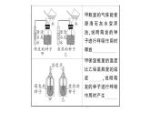 初中生物新北师大版七年级上册第3单元第4章第2节 呼吸作用作业课件2024秋
