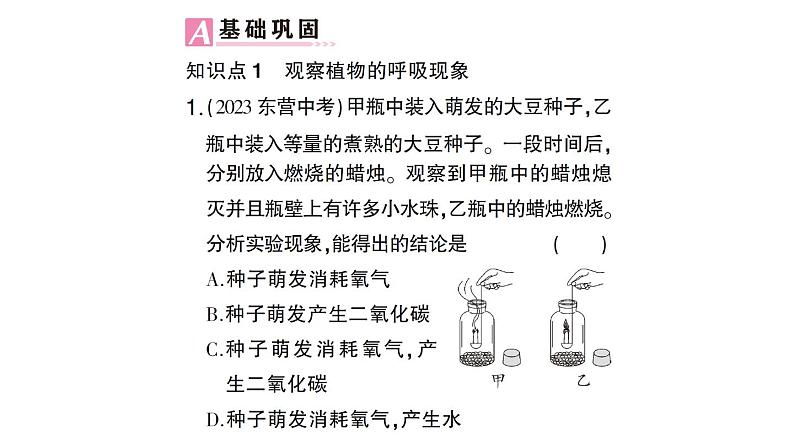 初中生物新北师大版七年级上册第3单元第4章第2节 呼吸作用作业课件2024秋第6页