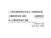 初中生物新北师大版七年级上册第3单元第4章第3节 吸收作用作业课件2024秋