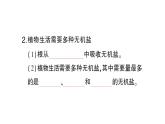 初中生物新北师大版七年级上册第3单元第4章第3节 吸收作用作业课件2024秋