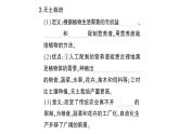 初中生物新北师大版七年级上册第3单元第4章第3节 吸收作用作业课件2024秋