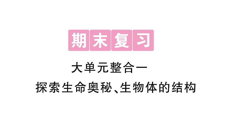初中生物新北师大版七年级上册期末大单元整合一 探索生命奥秘、生物体的结构作业课件2024秋第1页