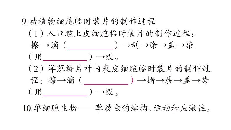 初中生物新北师大版七年级上册期末大单元整合一 探索生命奥秘、生物体的结构作业课件2024秋第7页