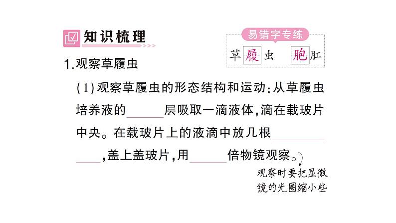 初中生物新北师大版七年级上册第2单元第2章第2节 细胞是生命活动的单位作业课件2024秋第2页