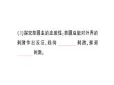 初中生物新北师大版七年级上册第2单元第2章第2节 细胞是生命活动的单位作业课件2024秋