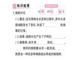 初中生物新北师大版七年级上册第2单元第3章第2节 细胞分化形成组织作业课件2024秋