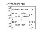 初中生物新北师大版七年级上册第2单元第3章第2节 细胞分化形成组织作业课件2024秋