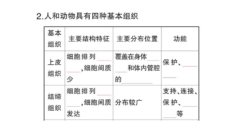 初中生物新北师大版七年级上册第2单元第3章第2节 细胞分化形成组织作业课件2024秋第4页