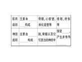 初中生物新北师大版七年级上册第2单元第3章第2节 细胞分化形成组织作业课件2024秋