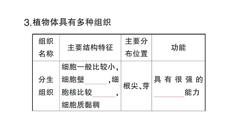 初中生物新北师大版七年级上册第2单元第3章第2节 细胞分化形成组织作业课件2024秋第6页