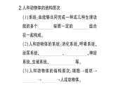 初中生物新北师大版七年级上册第2单元第3章第3节 生物体的器官、系统作业课件2024秋