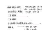 初中生物新北师大版七年级上册第2单元第3章第3节 生物体的器官、系统作业课件2024秋
