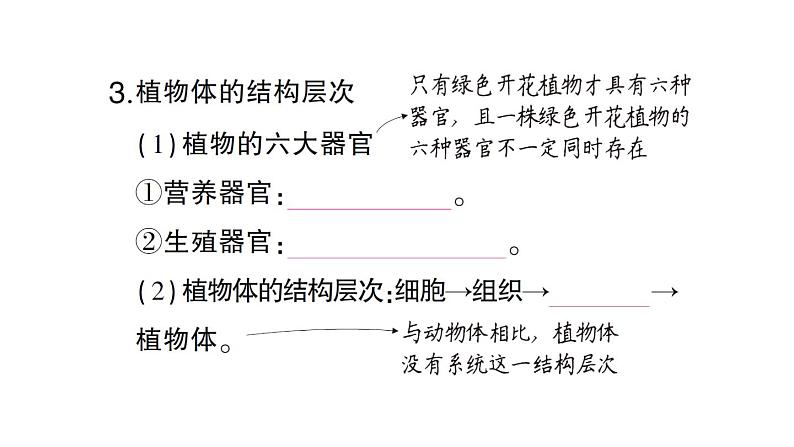 初中生物新北师大版七年级上册第2单元第3章第3节 生物体的器官、系统作业课件2024秋04