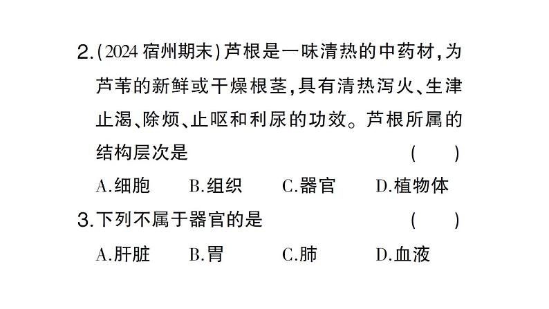 初中生物新北师大版七年级上册第2单元第3章第3节 生物体的器官、系统作业课件2024秋06