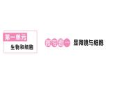 初中生物新人教版七年级上册第一单元第二章微专题一 显微镜与细胞作业课件2024秋