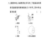 初中生物新人教版七年级上册第一单元第二章微专题一 显微镜与细胞作业课件2024秋