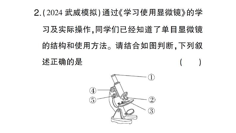 初中生物新人教版七年级上册第一单元第二章微专题一 显微镜与细胞作业课件2024秋03