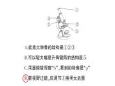 初中生物新人教版七年级上册第一单元第二章微专题一 显微镜与细胞作业课件2024秋