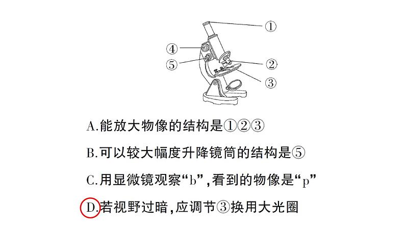 初中生物新人教版七年级上册第一单元第二章微专题一 显微镜与细胞作业课件2024秋04