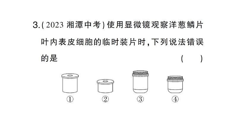 初中生物新人教版七年级上册第一单元第二章微专题一 显微镜与细胞作业课件2024秋05