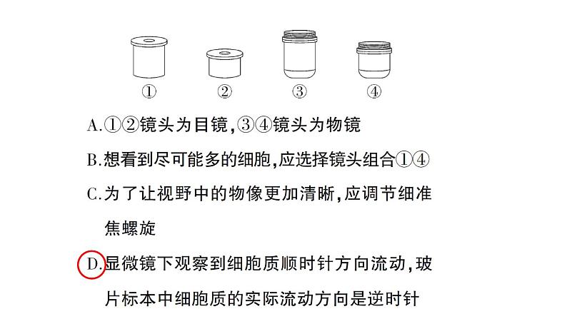 初中生物新人教版七年级上册第一单元第二章微专题一 显微镜与细胞作业课件2024秋06